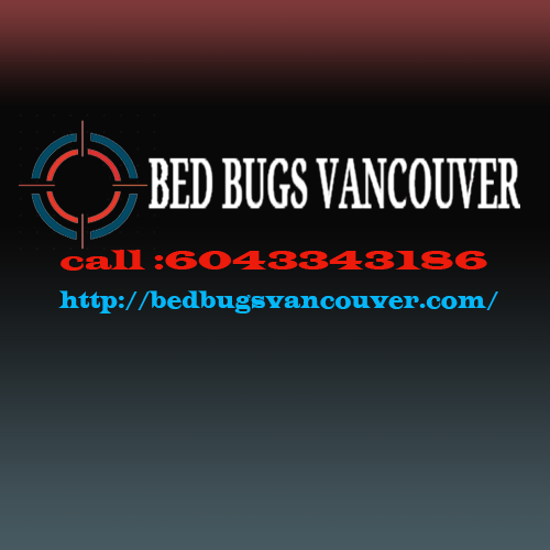 Image for Bed Bugs Vancouver with ID of: 3602850