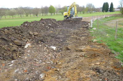 Image for Hone Ecology Ltd with ID of: 3603150