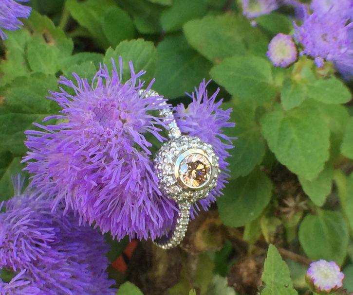 Image for New Gild Jewelers with ID of: 3606416