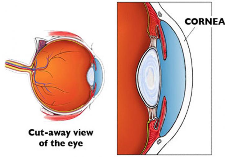 Image for Cornea Specialist with ID of: 3606515