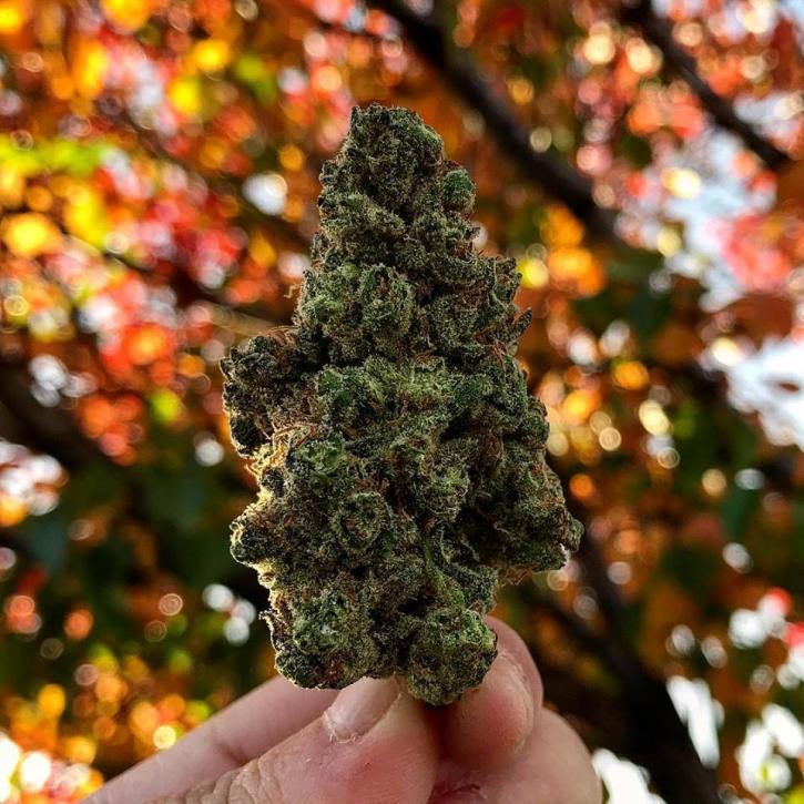 Image for Peak Dispensary with ID of: 3607898