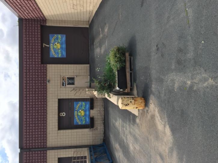 Image for EcoGarden Supply with ID of: 3607973