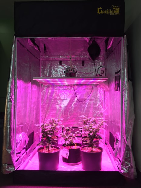 Image for EcoGarden Supply with ID of: 3607978
