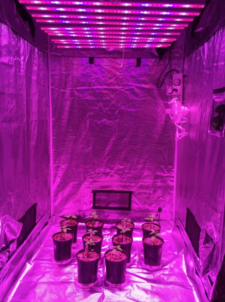 Image for EcoGarden Supply with ID of: 3607980