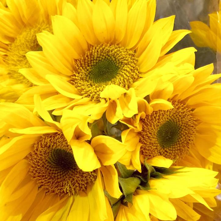 Image for Gelson's Market with ID of: 3608074