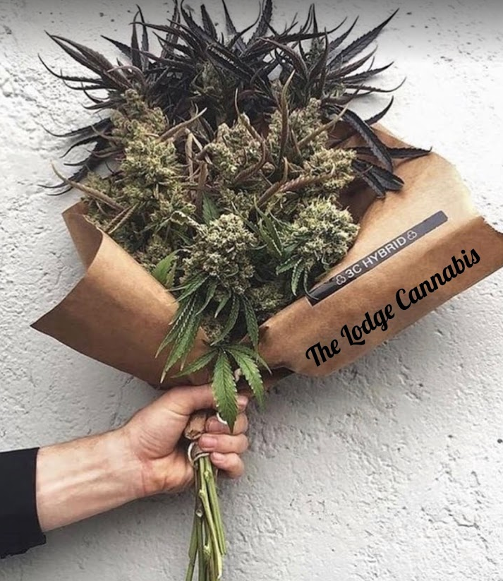 Image for The Lodge Cannabis with ID of: 3608532