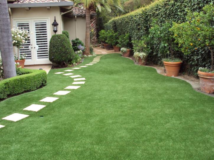 Image for Got Turf Las Vegas with ID of: 3609854