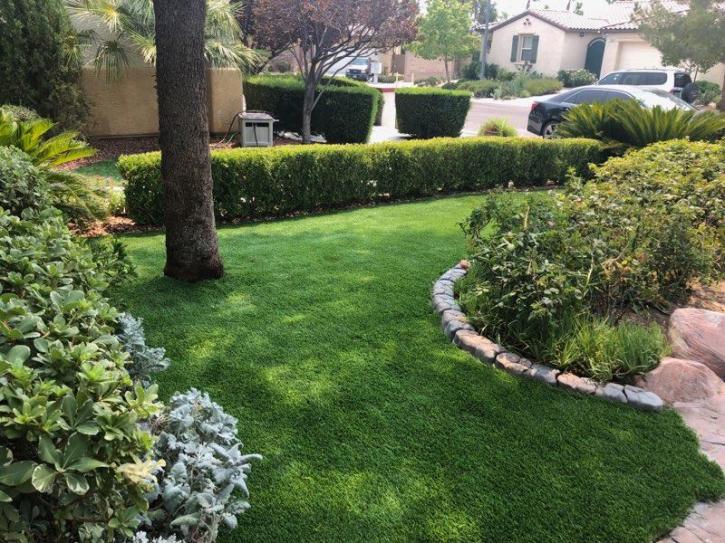 Image for Got Turf Las Vegas with ID of: 3609857
