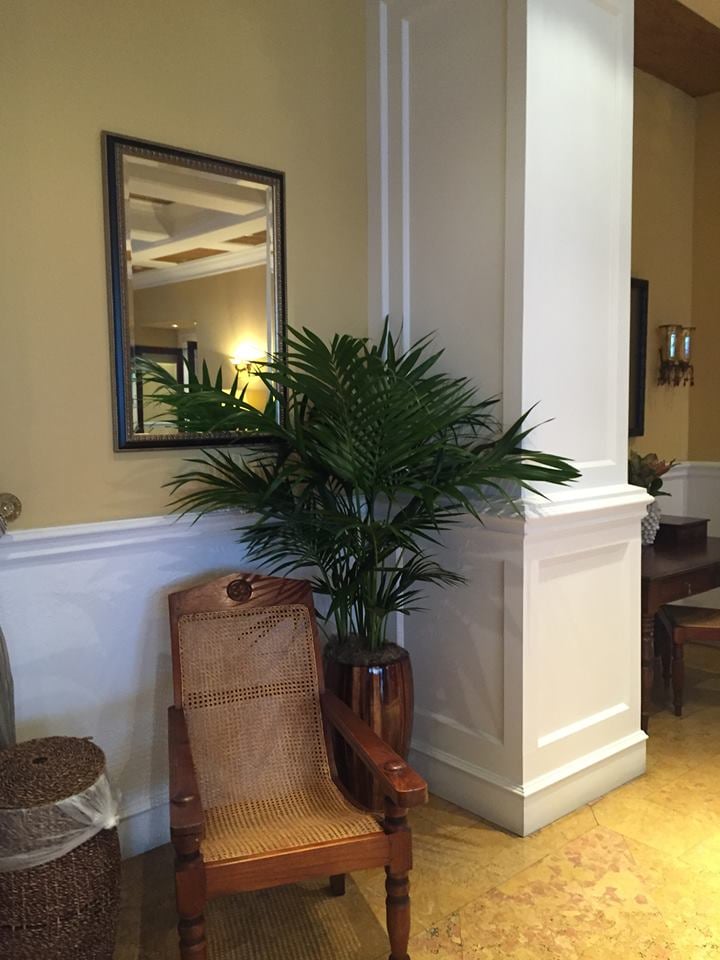 Image for Plant Professionals with ID of: 3610195