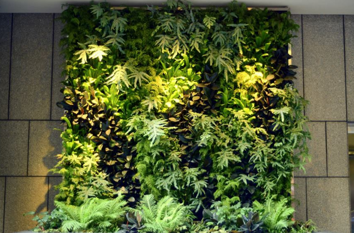 Image for Plant Professionals with ID of: 3610216