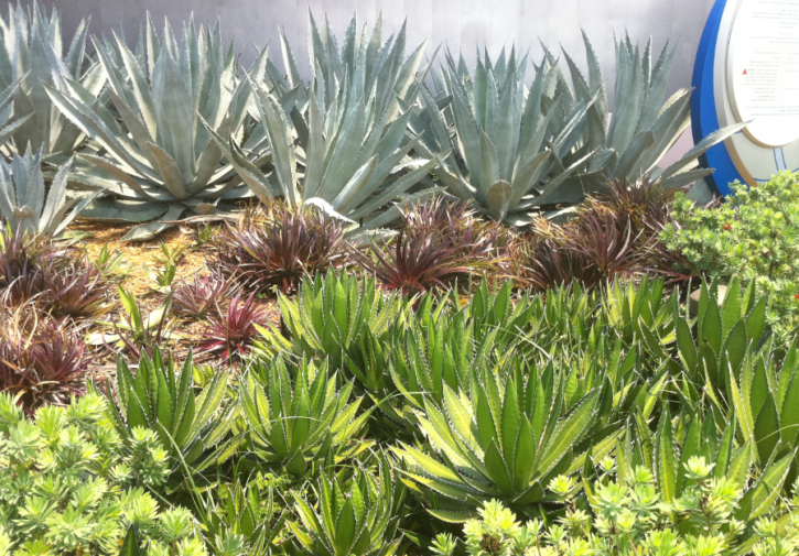 Image for Plant Professionals with ID of: 3610226