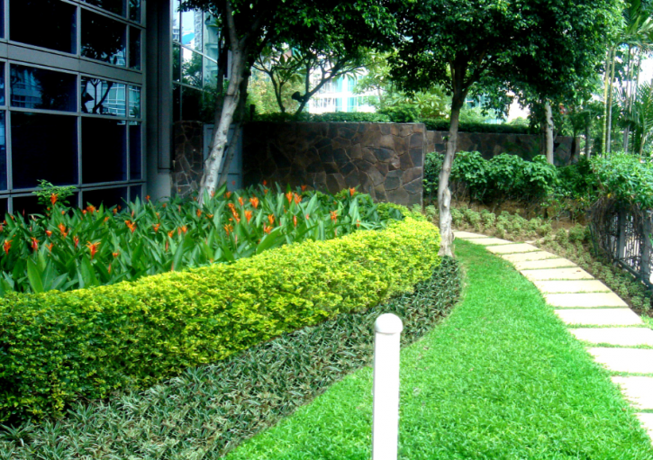 Image for Plant Professionals with ID of: 3610232