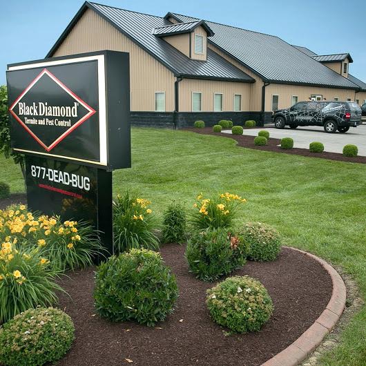 Image for Black Diamond Pest Control with ID of: 3610574
