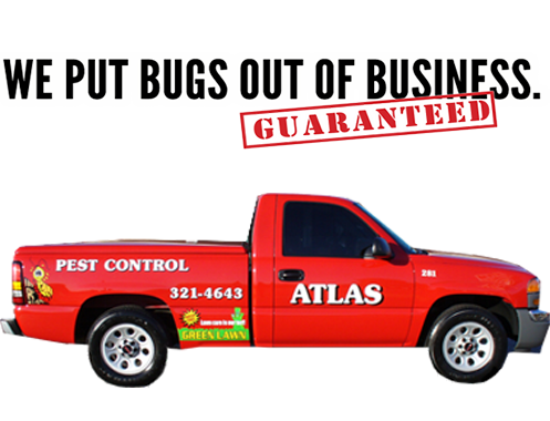 Image for Atlas Termite & Pest Control with ID of: 3610731