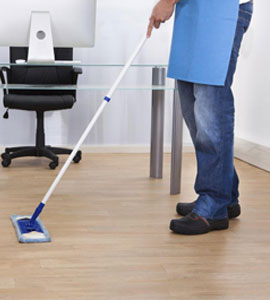 Image for Housekeeping services with ID of: 3611121