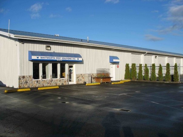 Image for Whitworth Pest Solutions Inc with ID of: 3613298