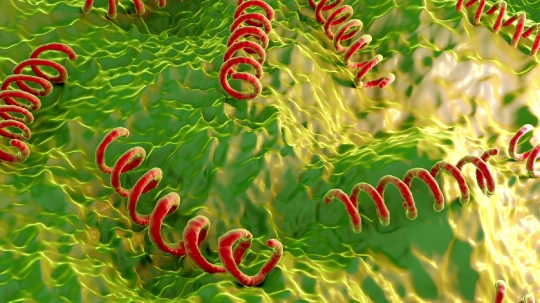 Image for Titanium(IV) diisopropoxidebis(2,2,6,6-tetramethyl-3,5-heptanedionate) with ID of: 3614677