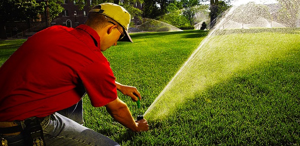 Image for Arizona Landscape Services with ID of: 3614782