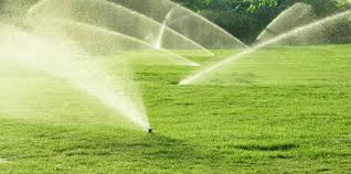 Image for Arizona Home  Services with ID of: 3614933