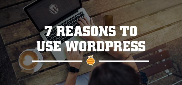 Image for wordpress website repair with ID of: 3614984