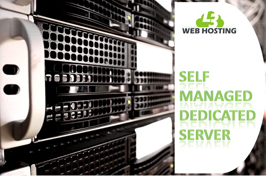Image for Get the Best Self Managed Dedicated Server for Hosting with ID of: 3616202
