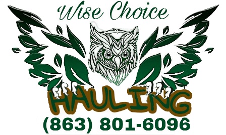 Image for Wise Choice Hauling with ID of: 3617985