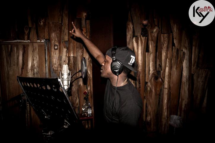 Image for Plush Recording Studios with ID of: 3618502
