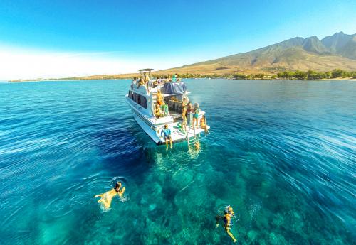 Image for Maui Boat Trips with ID of: 3620130