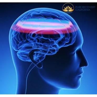 Image for Pure Recovery California with ID of: 3621669