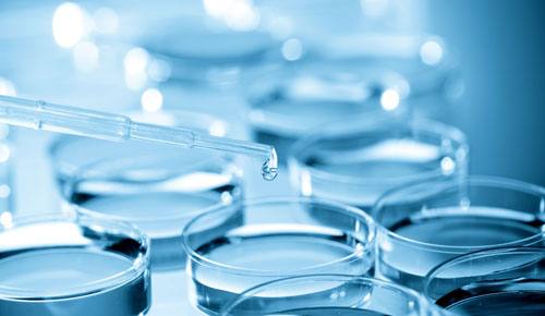 Image for Biocides Market Study By Types, Applications & Top Key Players - Ashland Inc., AkzoNobel N.V., Albemarle Corp., BASF SE, Baker Hughes Inc., Cortec Corp. with ID of: 3622404