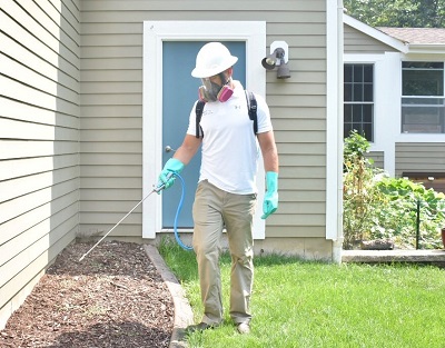 Image for Dr Bug Pest Control with ID of: 3622906