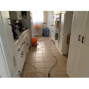 Image for 411 Restoration Riverside with ID of: 3624092