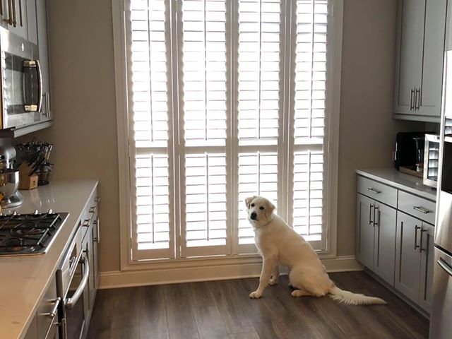 Image for Castleberry Shutters Inc with ID of: 3624180