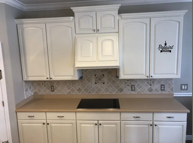 Image for Repaint Florida LLC with ID of: 3625375