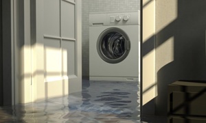 Image for Basement Flood Clean Up Co with ID of: 3628600