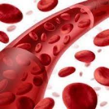 Image for Global Human Coagulation Factor VIII Market 2019 | Manufacturers, Regions, Type And Application, Forecast To 2024 with ID of: 3629330