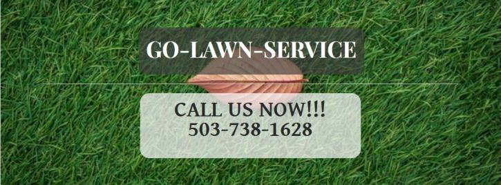 Image for Go lawn service with ID of: 3629542