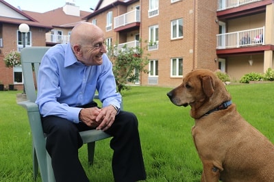 Image for Symphony Senior Living Orléans with ID of: 3629870
