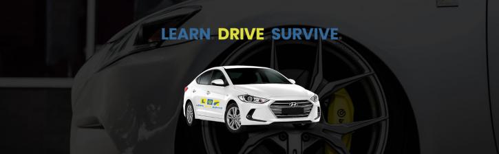 Image for Learn Drive Survive with ID of: 3630441