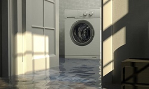 Image for Mold Removal & Remediation Inc with ID of: 3630542