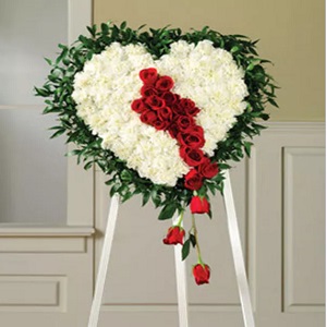 Image for PITKIN AVE FLORIST & FRUIT BASKETS with ID of: 3631981
