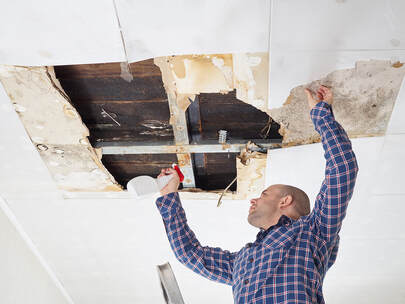 Image for Broward Mold Testing Services with ID of: 3633617