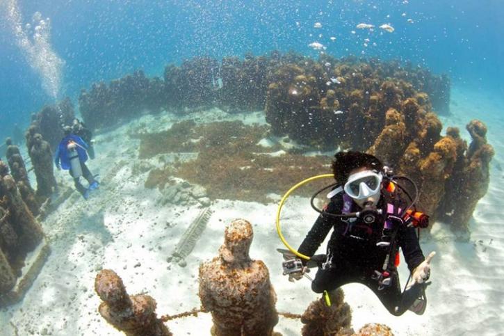Image for Always Diving with ID of: 3634436