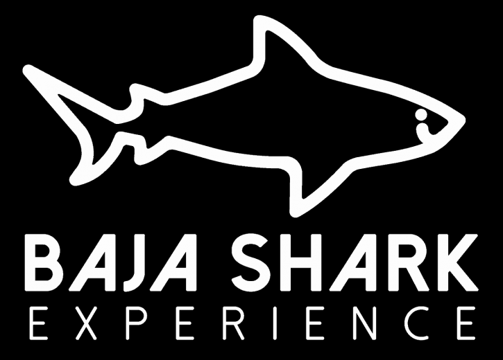Image for Baja Shark Experience with ID of: 3634543