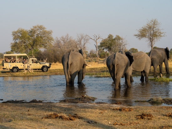 Image for African Travel Agents with ID of: 3634708