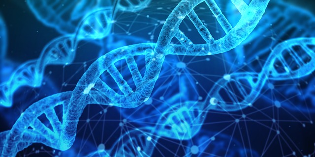 Image for Cell Lines Market Comprehensive Study by Key Players with ID of: 3634891
