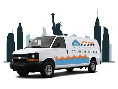 Image for New York Rooter with ID of: 3634994