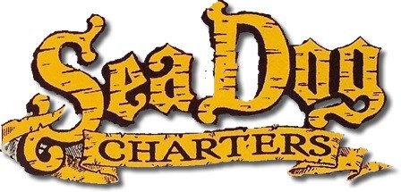 Image for Marathon Fishing Charters with ID of: 3635606