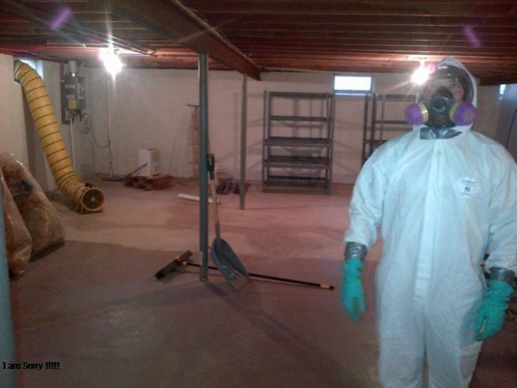 Image for Oahu Mold Testing & Removal with ID of: 3636421
