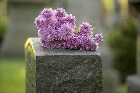 Image for Funeral Service Ditmars Park with ID of: 3639552
